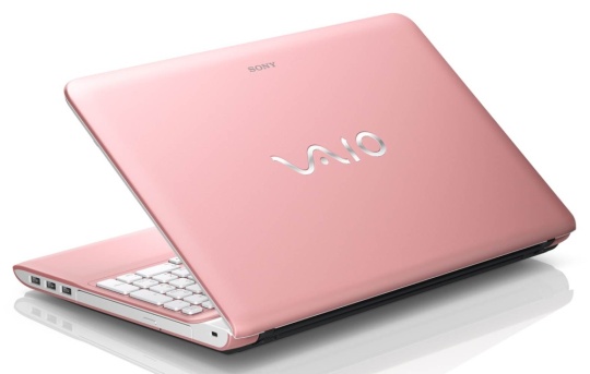 sony e series 15 cover